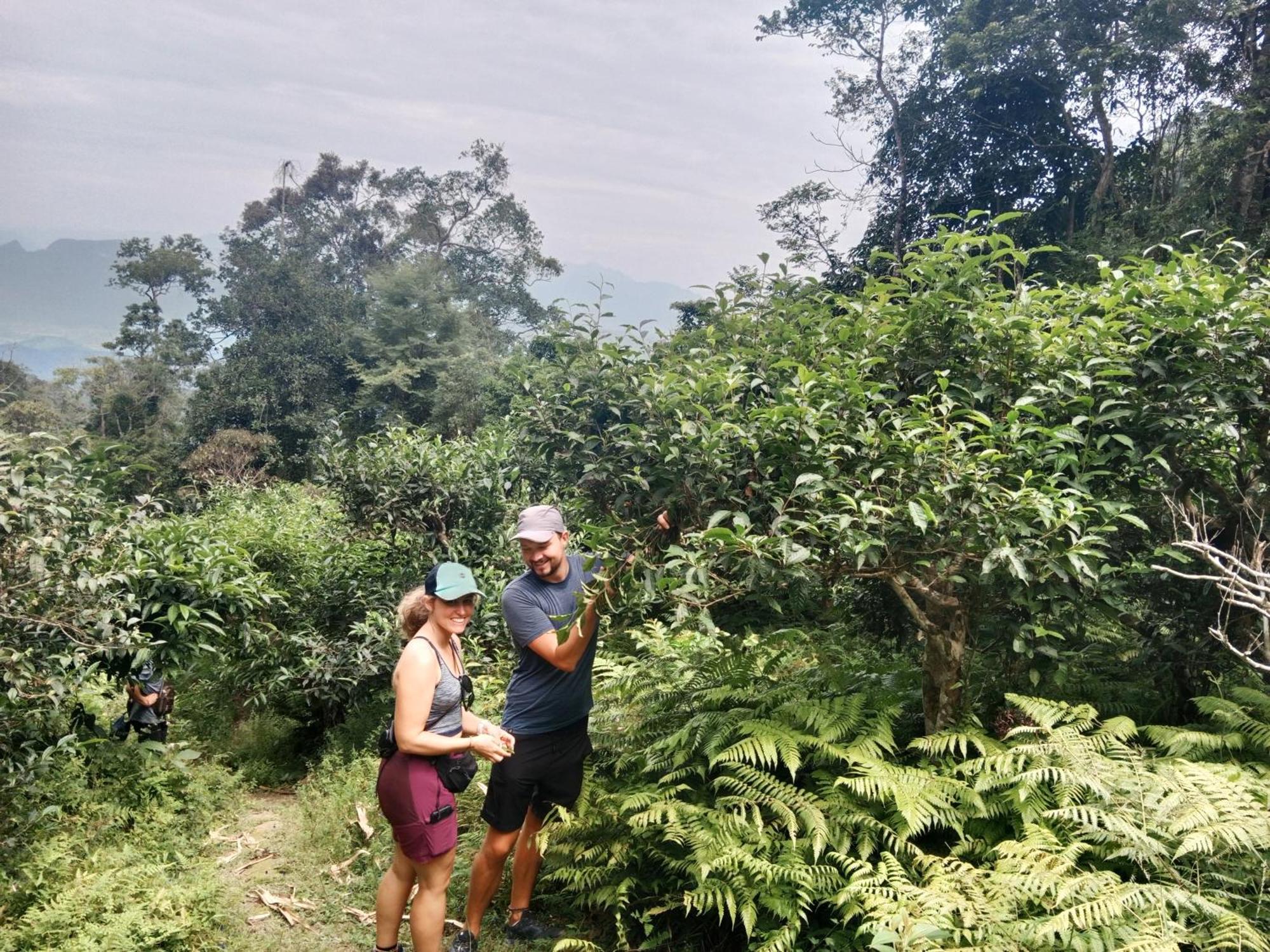 Ha Giang Yolo House And Loop Tours Hotel Kültér fotó